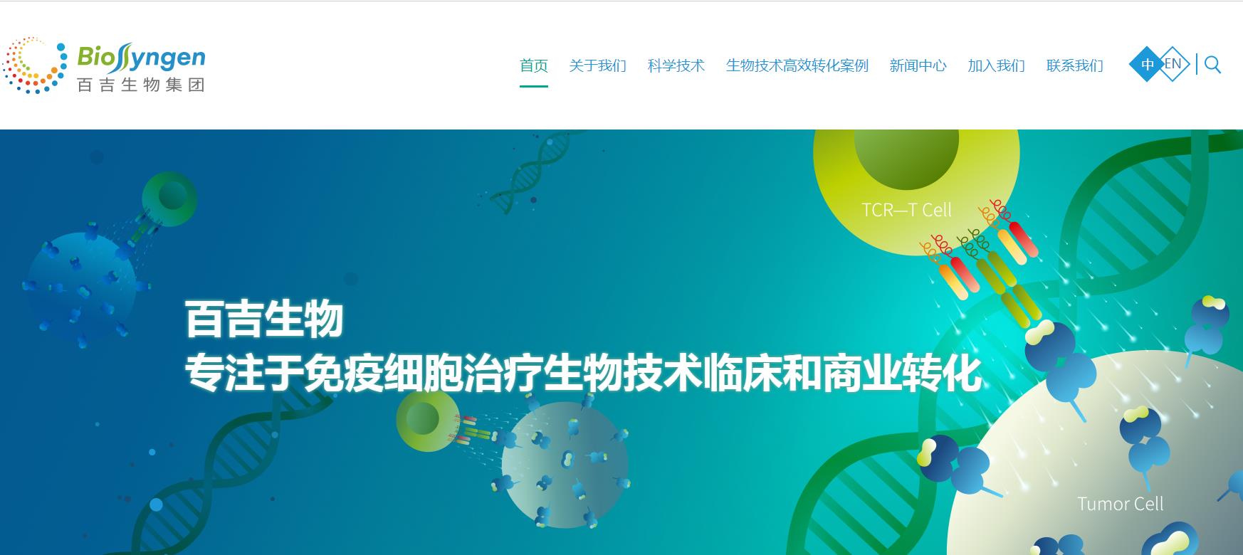 集团网站建设